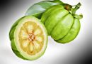 garcinia cambogia propiedades