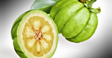 garcinia cambogia propiedades